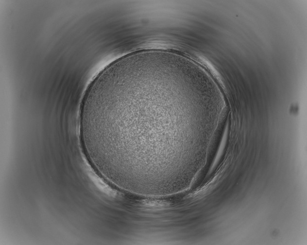 X0000090440795200707201252