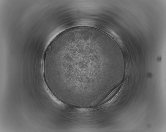 X0000090440796200707201252