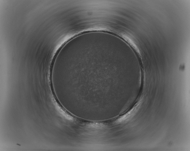 X0000090440797200707201252