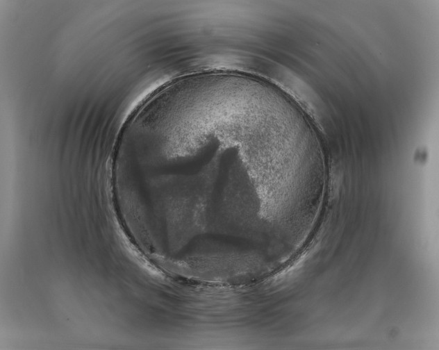 X0000090440798200707201252