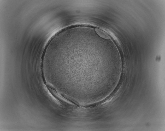 X0000090440799200707201252