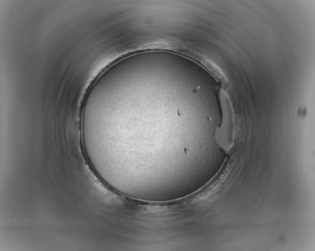 X0000090440800200707201252