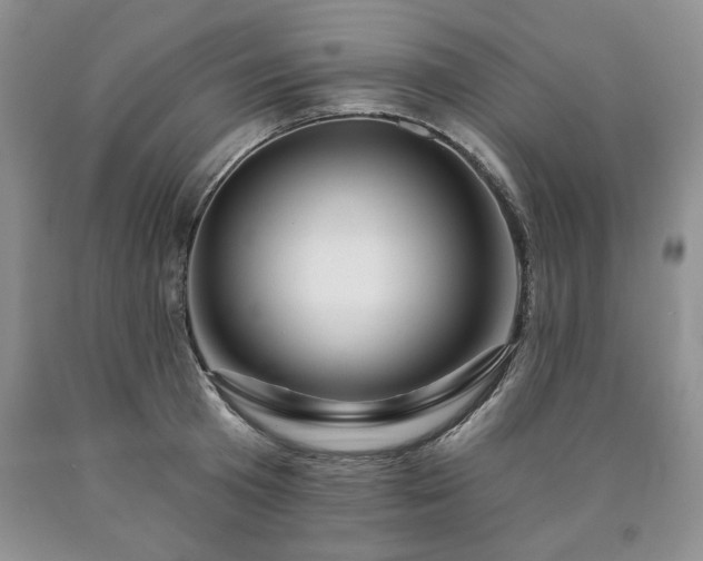 X0000090440801200707201252