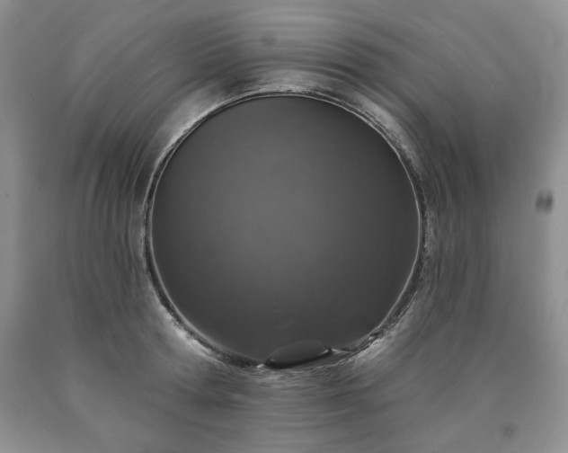 X0000090440802200707201252