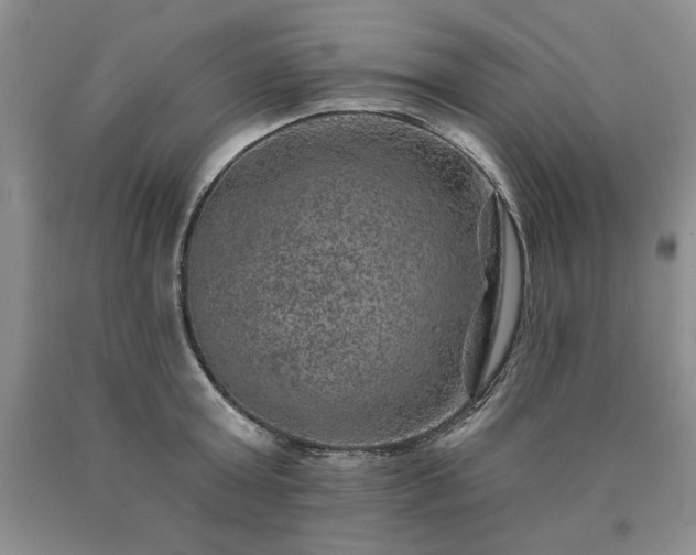 X0000090440803200707201252