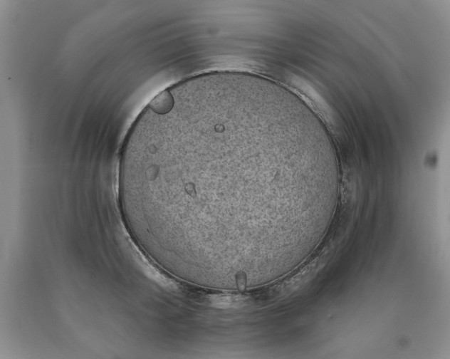 X0000090440804200707201252