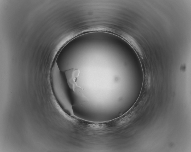 X0000090440805200707201252