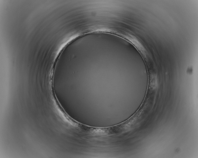 X0000090440806200707201252