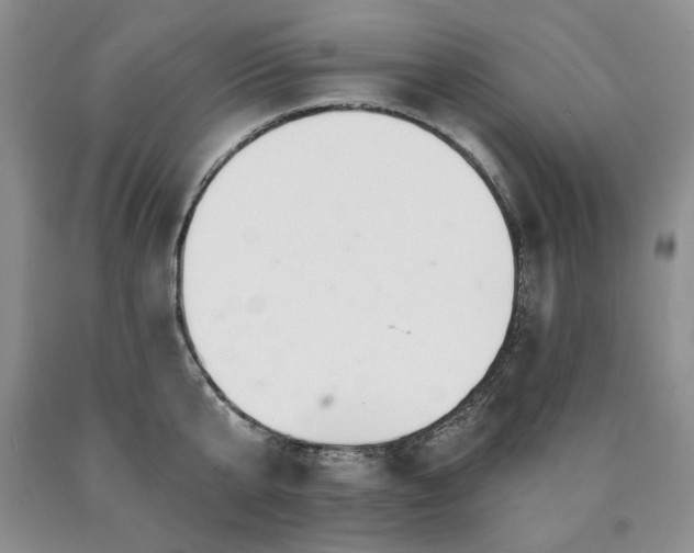 X0000090440807200707201252