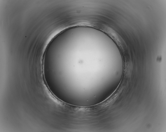 X0000090440808200707201252