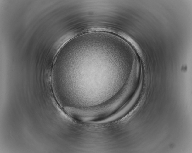 X0000090440809200707201252