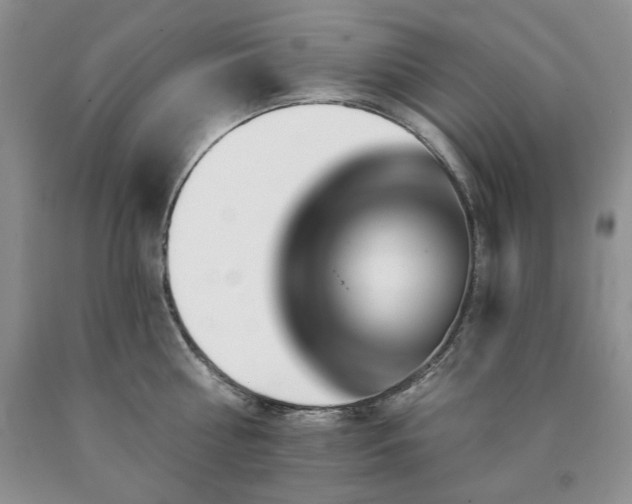 X0000090440810200707201252