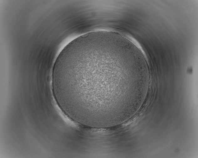 X0000090440811200707201252