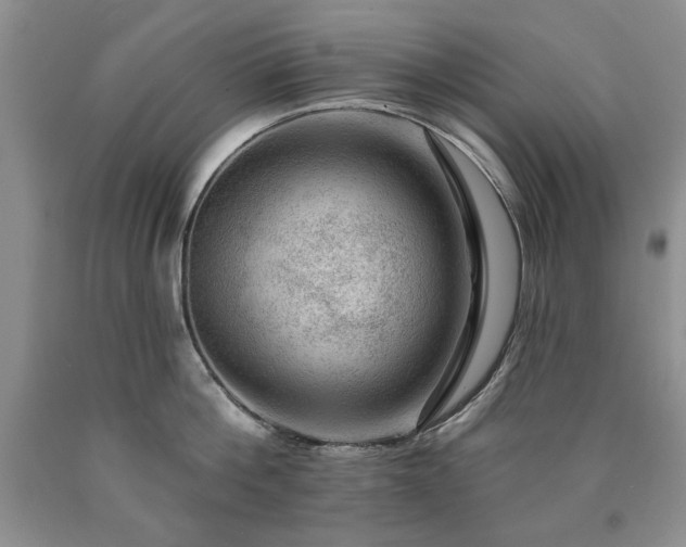 X0000090440812200707201252