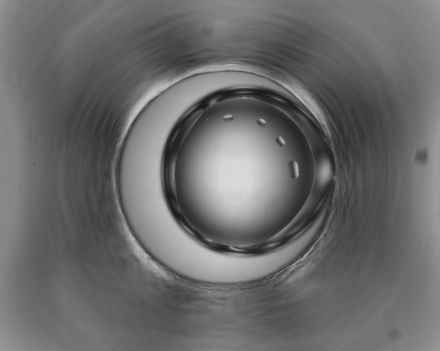 X0000090440813200707201252