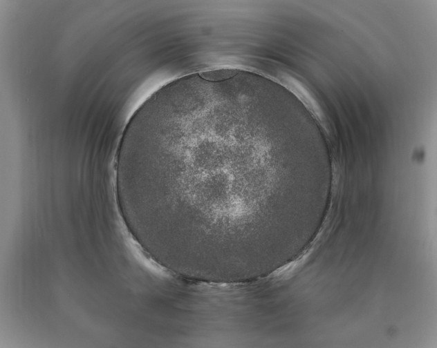 X0000090440814200707201252