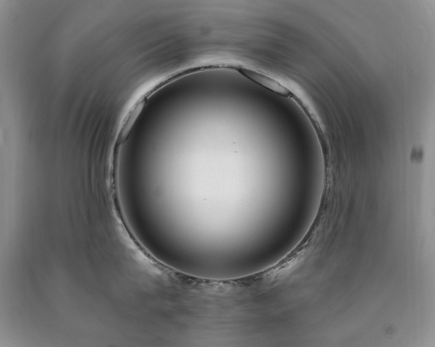 X0000090440815200707201252