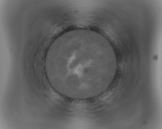 X0000090440817200707201251