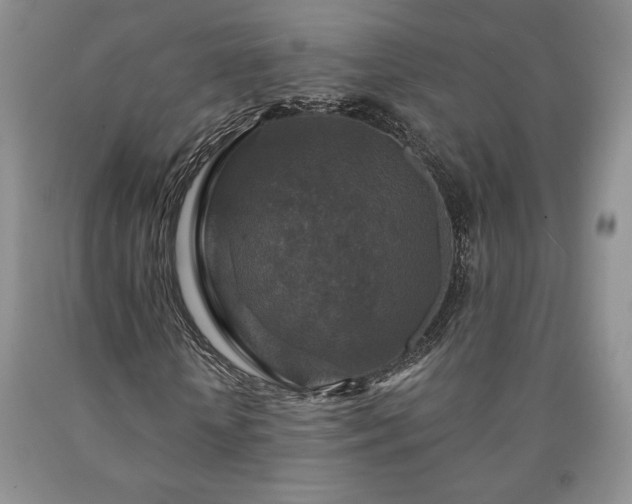 X0000090440818200707201251