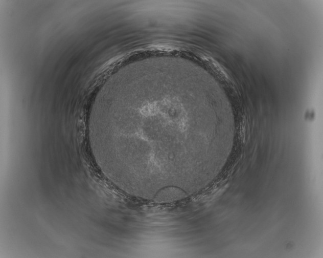 X0000090440821200707201251