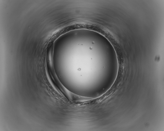 X0000090440822200707201251