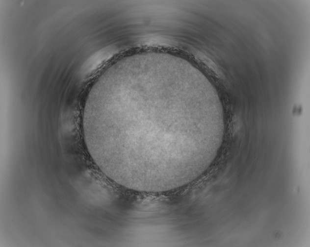 X0000090440824200707201251