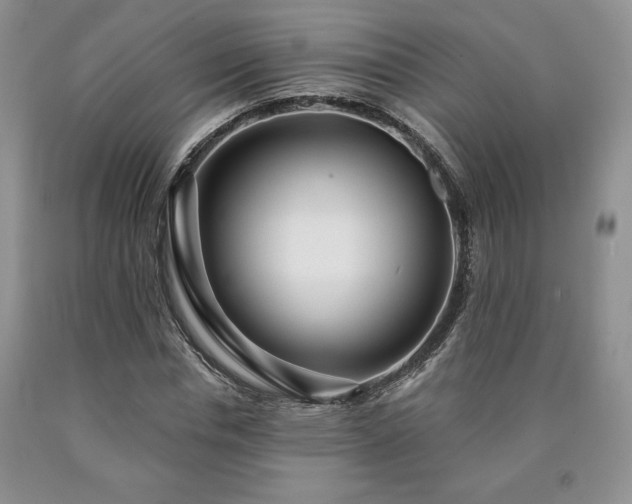 X0000090440826200707201251