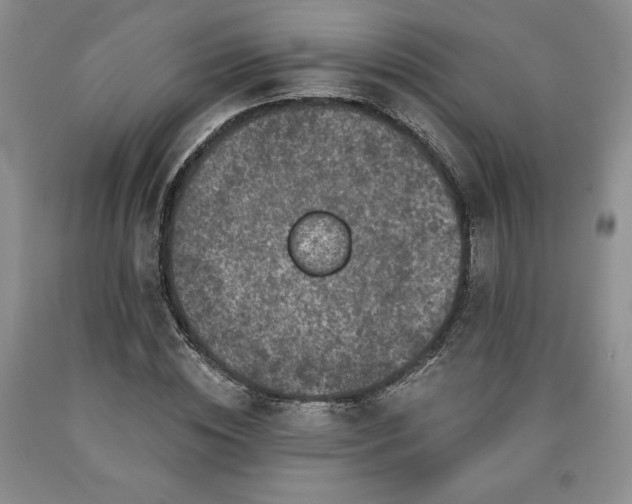 X0000090440828200707201251