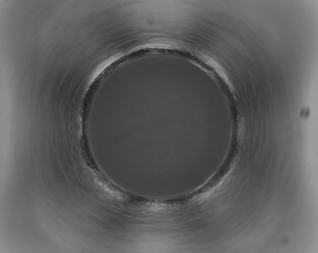 X0000090440829200707201251