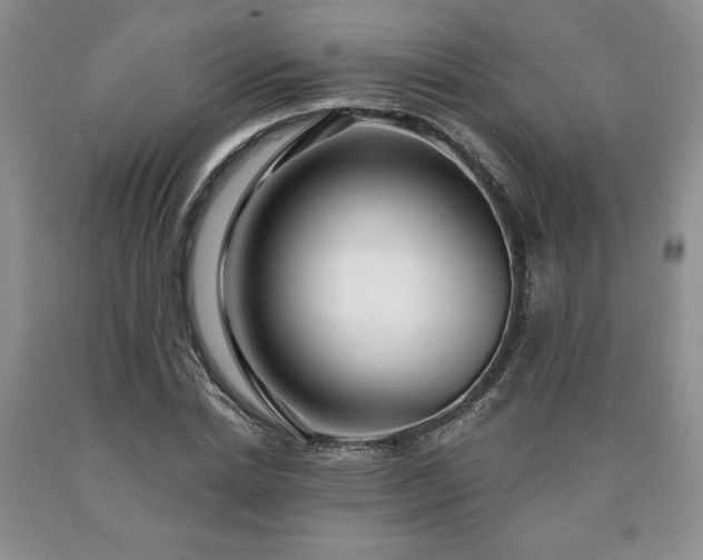 X0000090440830200707201251