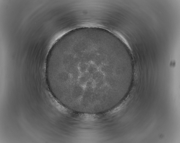 X0000090440831200707201251