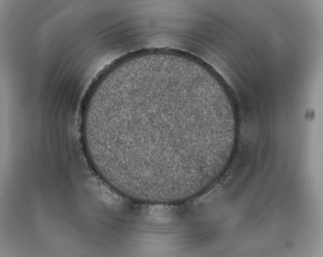 X0000090440832200707201251