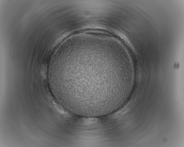 X0000090440833200707201251