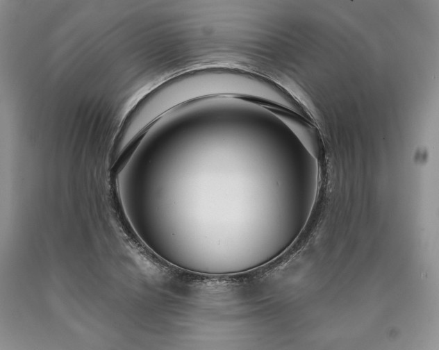 X0000090440834200707201251