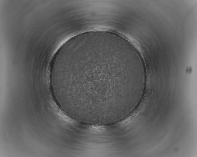 X0000090440835200707201251