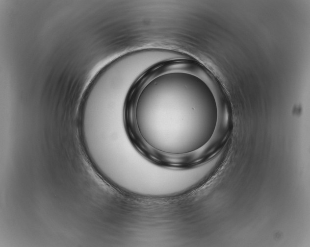 X0000090440838200707201251