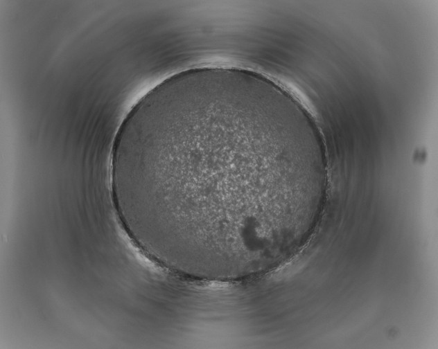 X0000090440839200707201251