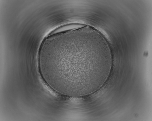 X0000090440840200707201251