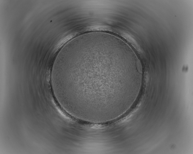 X0000090440841200707201251