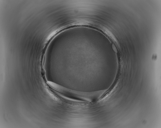 X0000090440842200707201251