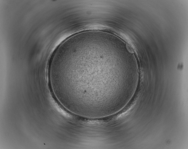 X0000090440843200707201251