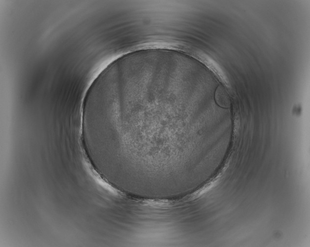 X0000090440844200707201251