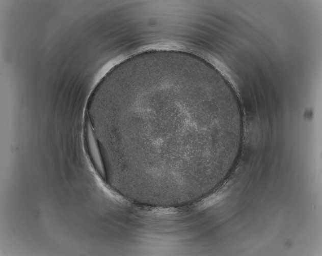 X0000090440845200707201251