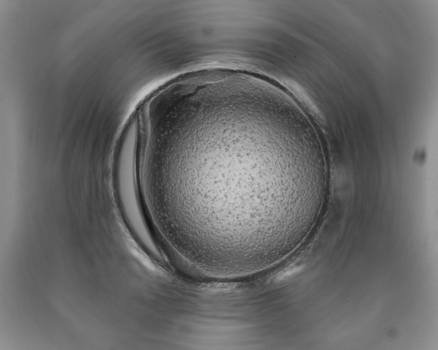 X0000090440846200707201251