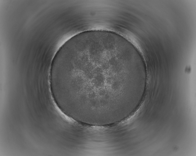 X0000090440847200707201251