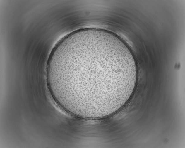 X0000090440848200707201251