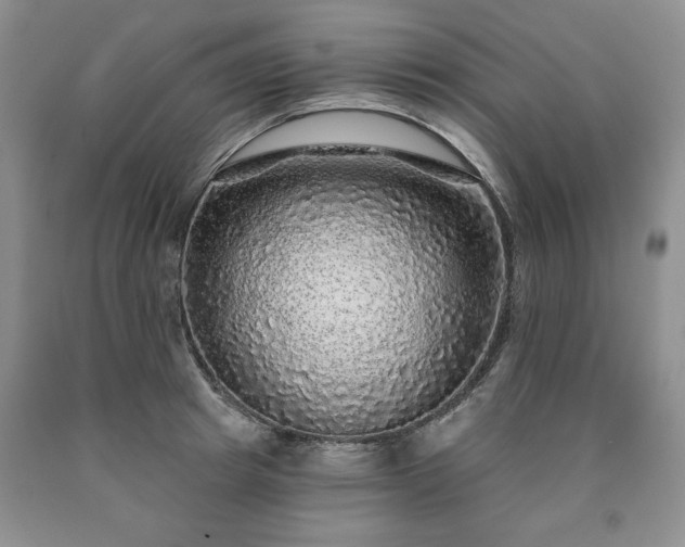 X0000090440849200707201251