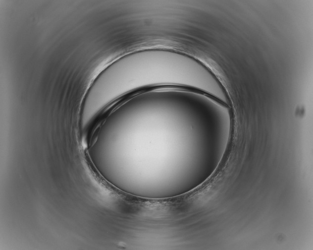 X0000090440850200707201251