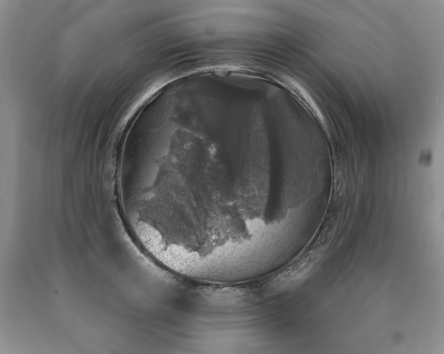 X0000090440851200707201251