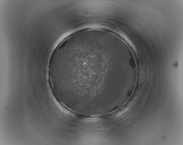 X0000090440853200707201251